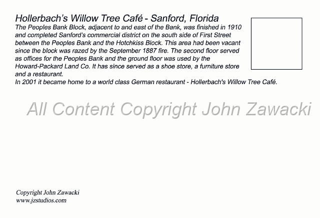 4x6 willow tree-Back.jpg